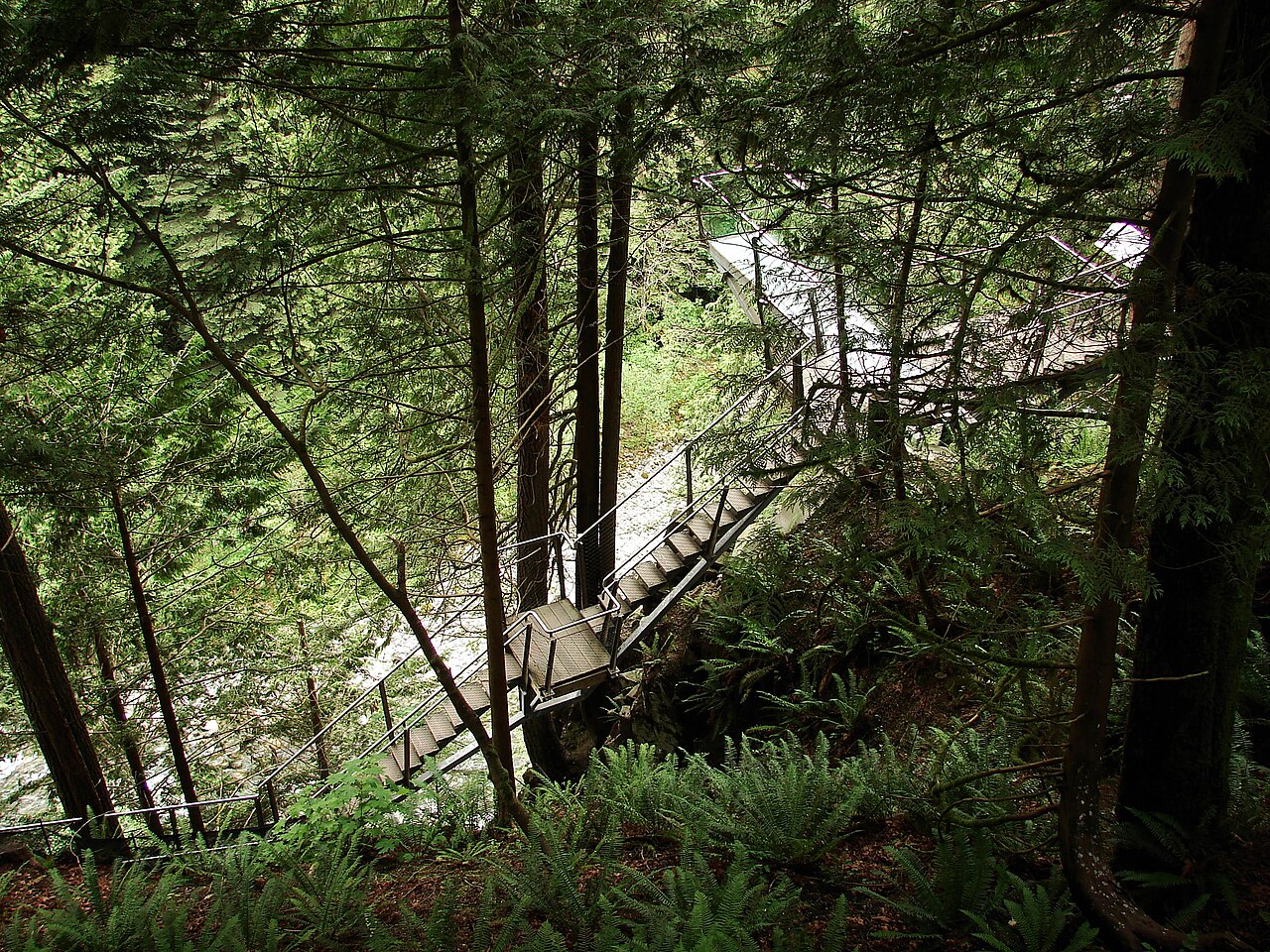 Cliffwalk accroché à la falaise du Capilano Suspension Bridge Park Cliffwalk accroché à la falaise du Capilano Suspension Bridge Park