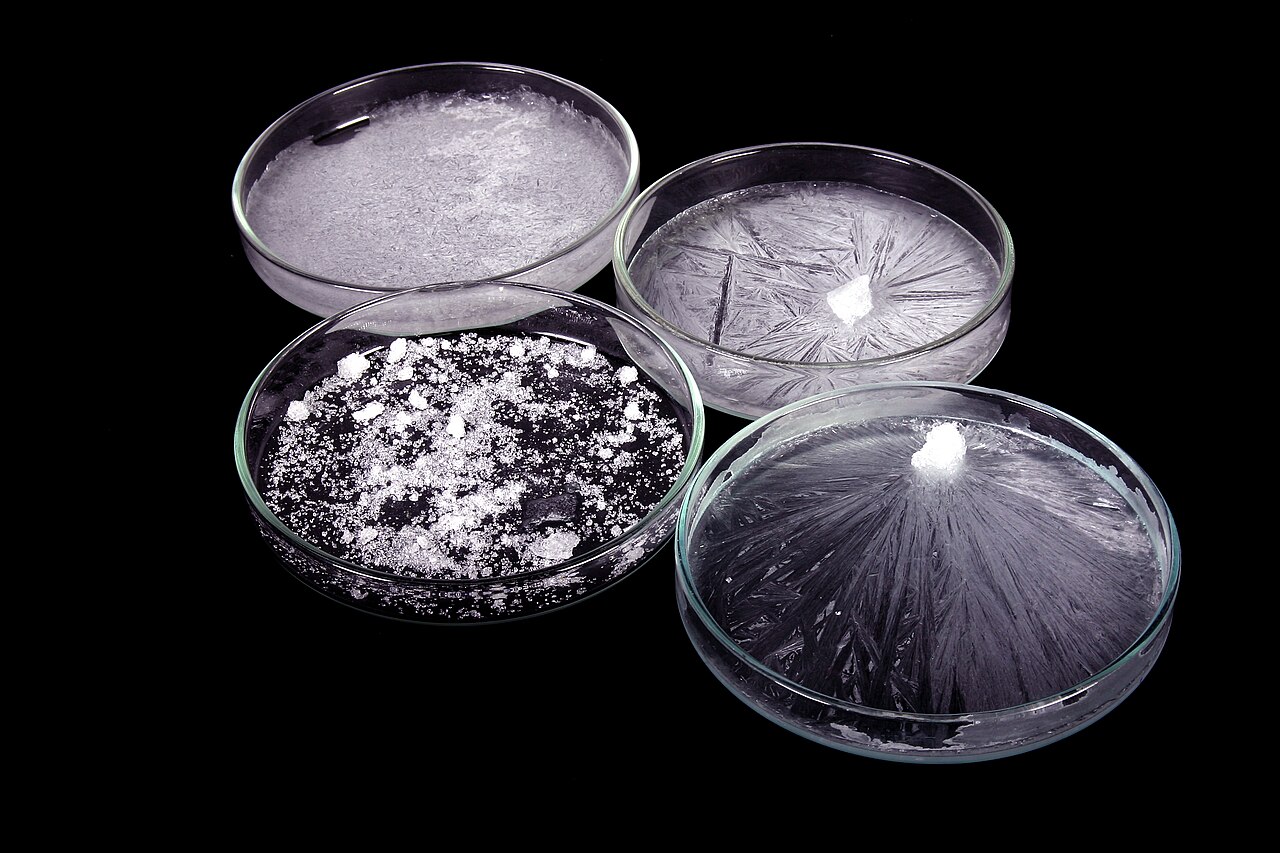 Cristallisation de l'acétate de sodium Formation de cristaux d'acétate de sodium dans plusieurs boîtes de Pétri
