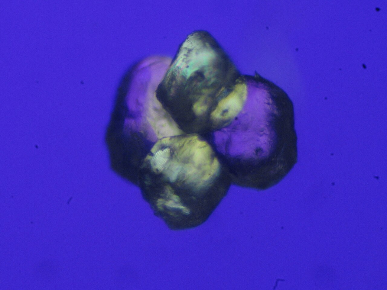 Cristaux d'acétate de sodium au microscope Cristaux d'acétate de sodium observés au microscope sous lumière polarisée