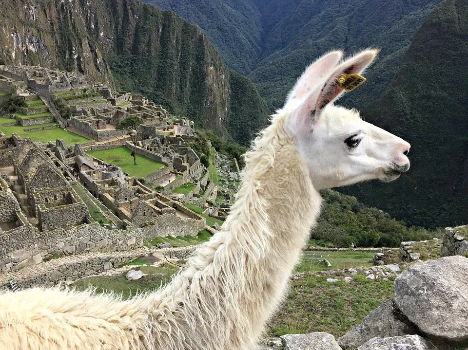 Le vrai nom du merveilleux Machu Picchu est Huayna Picchu le vrai nom du machu picchu Huayna Picchu andes inca perou 11 le-vrai-nom-du-machu-picchu-Huayna-Picchu-andes-inca-perou-11