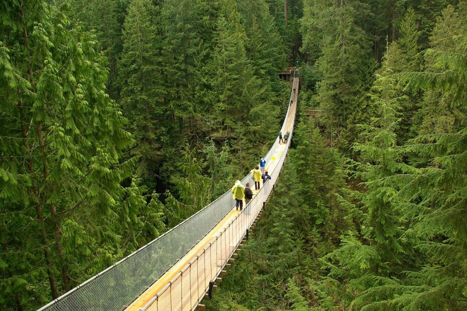 Le pont suspendu de Capilano en Colombie Britannique pont suspendu capilano vancouver canada Pont suspendu de Capilano à North Vancouver en Colombie-Britannique