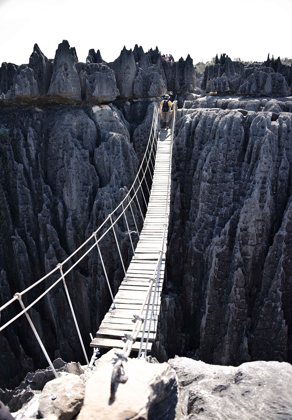 Pont suspendu au-dessus des aiguilles calcaires du Grand Tsingy de Bemaraha Pont suspendu au-dessus des aiguilles calcaires du Grand Tsingy de Bemaraha