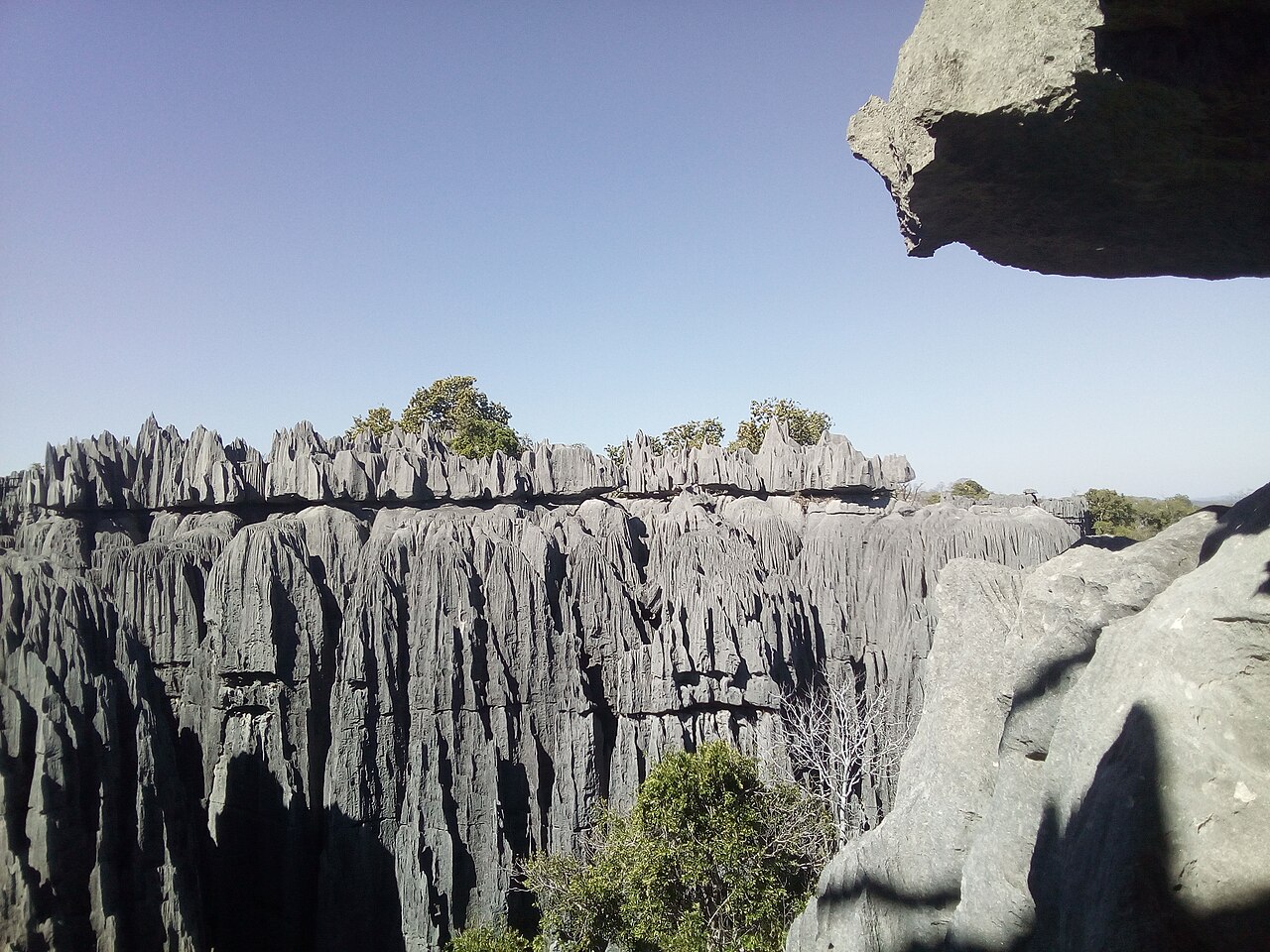 Paysage du Tsingy de Bemaraha vu depuis le sommet des formations calcaires Paysage du Tsingy de Bemaraha vu depuis le sommet des formations calcaires