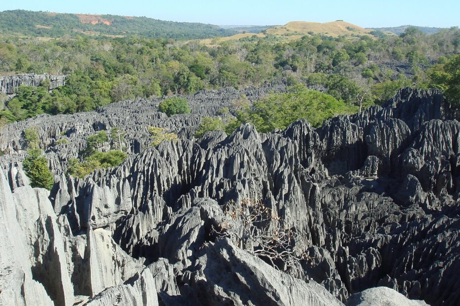 Tsingy de Bemaraha, l’incroyable forêt de pierre de Madagascar tsingy de bemaraha foret pierre madagascar Tsingy de Bemaraha, forêt de pierre aux aiguilles calcaires de Madagascar