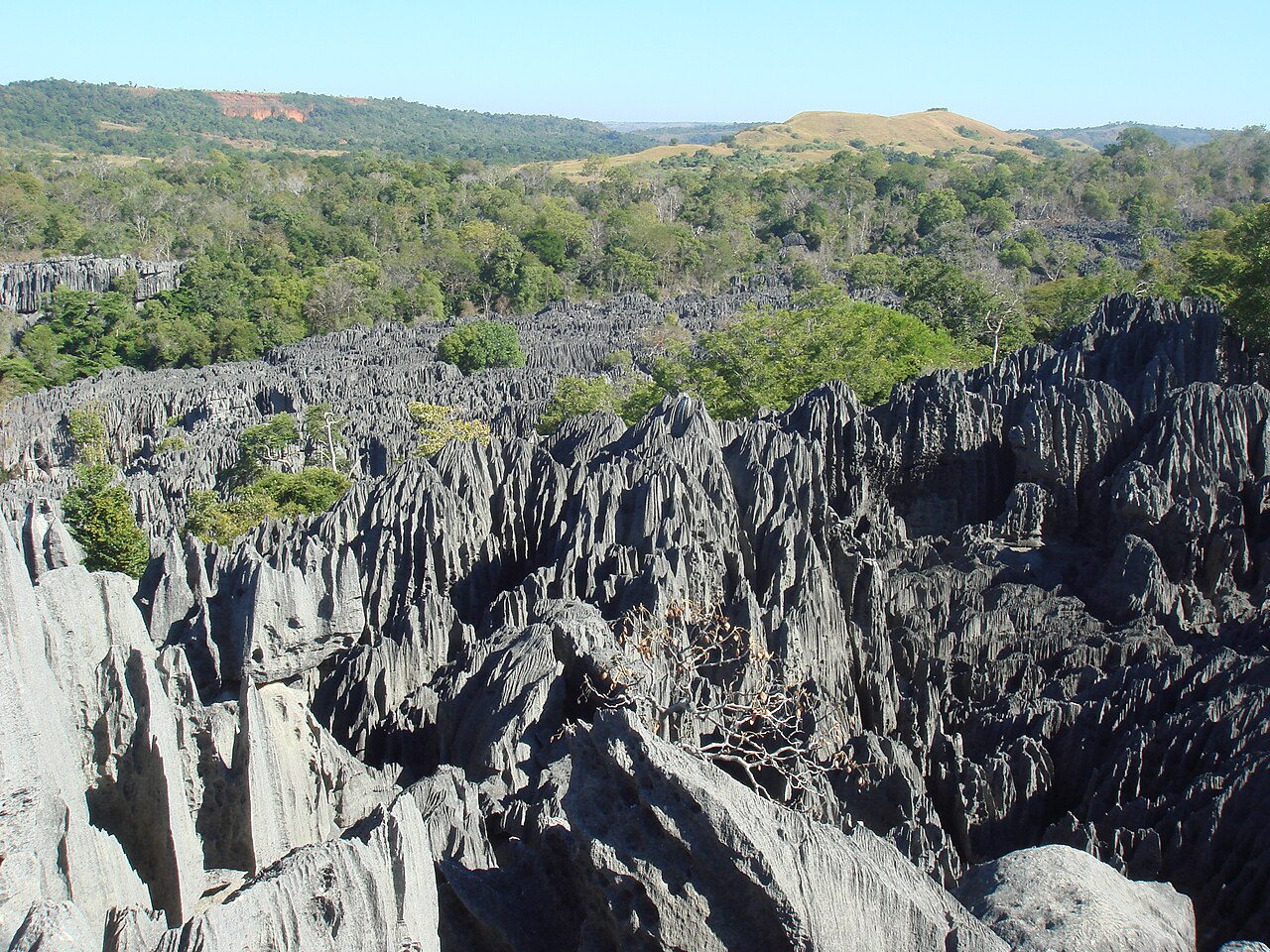 Tsingy de Bemaraha, forêt de pierre aux aiguilles calcaires de Madagascar Tsingy de Bemaraha, forêt de pierre aux aiguilles calcaires de Madagascar