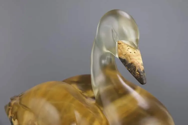 De magnifiques sculptures en bois et résine époxy De magnifiques sculptures en bois et resine epoxy blake mcfarland cygne 2 De-magnifiques-sculptures-en-bois-et-resine-epoxy-blake-mcfarland-cygne-2