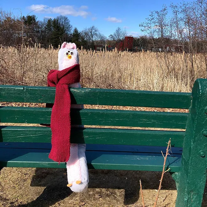 De très longs Furby - des Furby mille-pattes De tres longs Furby rallonge mille patte 16 De-tres-longs-Furby-rallonge-mille-patte