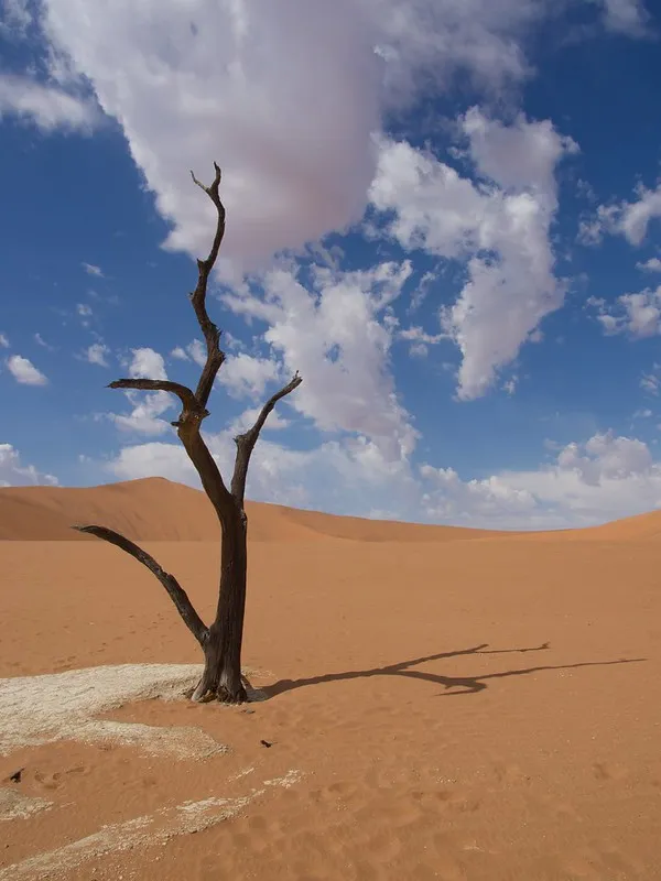 Le paysage fantomatique aux arbres morts de Deadvlei Le paysage fantomatique aux arbres morts de Deadvlei dead vlei sossuvlei namib namibie 10 Le-paysage-fantomatique-aux-arbres-morts-de-Deadvlei-dead-vlei-sossuvlei-namib-namibie-10
