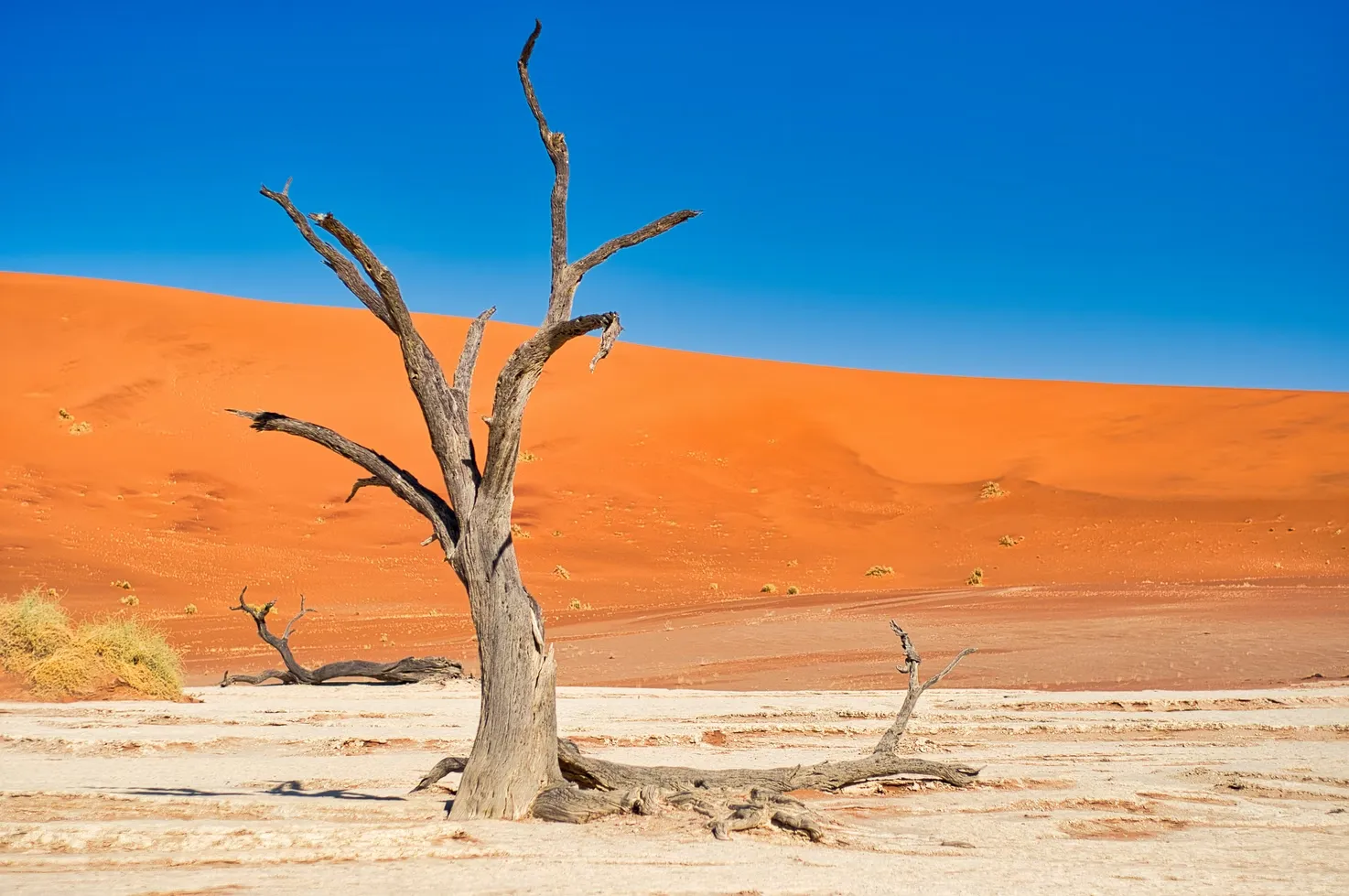 Le paysage fantomatique aux arbres morts de Deadvlei Le paysage fantomatique aux arbres morts de Deadvlei dead vlei sossuvlei namib namibie 4 Le-paysage-fantomatique-aux-arbres-morts-de-Deadvlei-dead-vlei-sossuvlei-namib-namibie-4