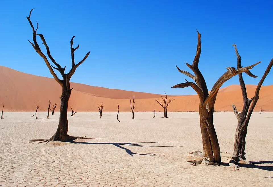 Le paysage fantomatique aux arbres morts de Deadvlei Le paysage fantomatique aux arbres morts de Deadvlei dead vlei sossuvlei namib namibie 6 Le-paysage-fantomatique-aux-arbres-morts-de-Deadvlei-dead-vlei-sossuvlei-namib-namibie-6