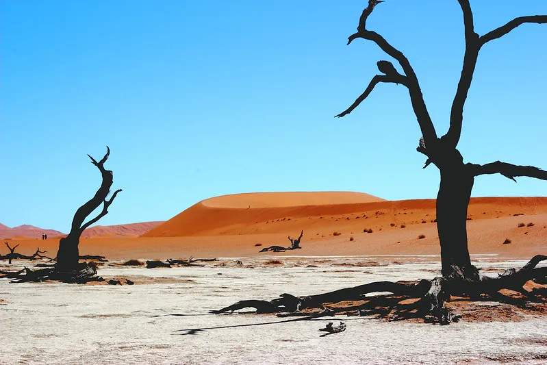 Le paysage fantomatique aux arbres morts de Deadvlei Le paysage fantomatique aux arbres morts de Deadvlei dead vlei sossuvlei namib namibie 7 Le-paysage-fantomatique-aux-arbres-morts-de-Deadvlei-dead-vlei-sossuvlei-namib-namibie-7