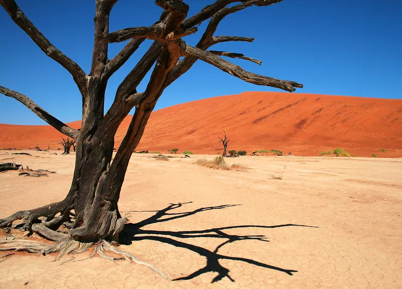 Le paysage fantomatique aux arbres morts de Deadvlei Le paysage fantomatique aux arbres morts de Deadvlei dead vlei sossuvlei namib namibie 8 Le-paysage-fantomatique-aux-arbres-morts-de-Deadvlei-dead-vlei-sossuvlei-namib-namibie-8