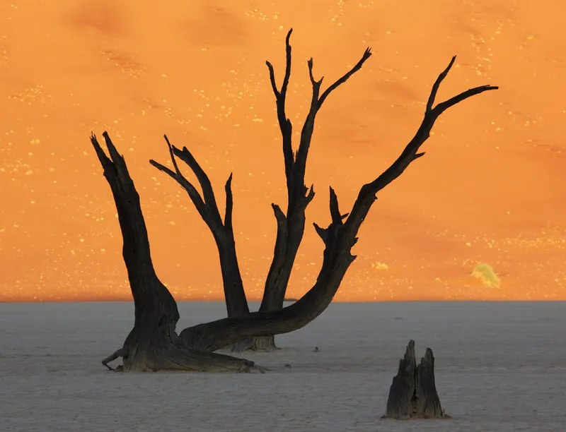 Le paysage fantomatique aux arbres morts de Deadvlei Le paysage fantomatique aux arbres morts de Deadvlei dead vlei sossuvlei namib namibie 9 Le-paysage-fantomatique-aux-arbres-morts-de-Deadvlei-dead-vlei-sossuvlei-namib-namibie-9