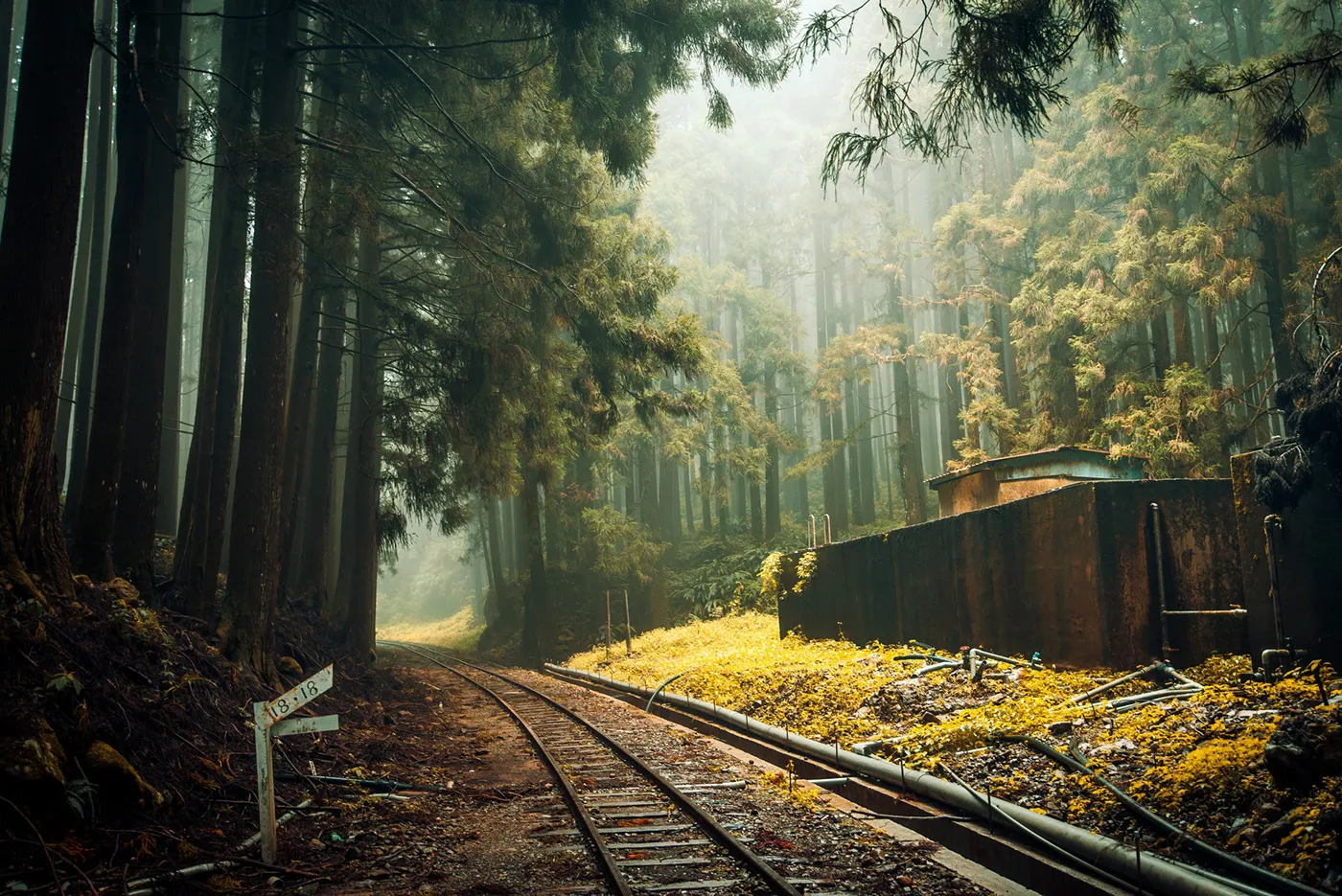 Une mystérieuse voie ferrée dans la brume de Taïwan une mysterieuse voie ferree dans la brume de Taiwan bo wen huang train foret 11 une-mysterieuse-voie-ferree-dans-la-brume-de-Taiwan-bo-wen-huang-train-foret
