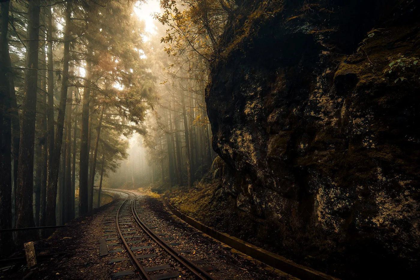 Une mystérieuse voie ferrée dans la brume de Taïwan une mysterieuse voie ferree dans la brume de Taiwan bo wen huang train foret 12 une-mysterieuse-voie-ferree-dans-la-brume-de-Taiwan-bo-wen-huang-train-foret