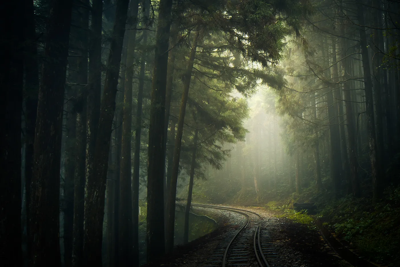Une mystérieuse voie ferrée dans la brume de Taïwan une mysterieuse voie ferree dans la brume de Taiwan bo wen huang train foret 14 une-mysterieuse-voie-ferree-dans-la-brume-de-Taiwan-bo-wen-huang-train-foret