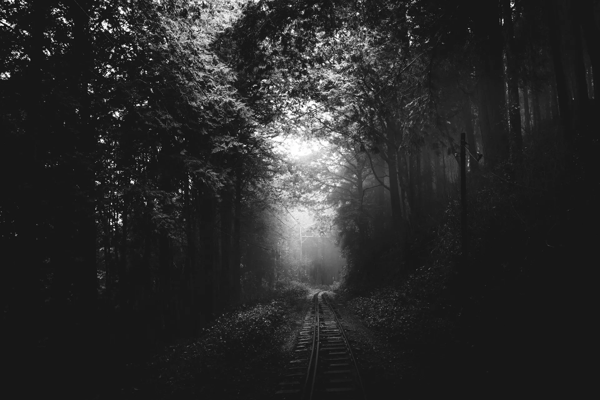 Une mystérieuse voie ferrée dans la brume de Taïwan une mysterieuse voie ferree dans la brume de Taiwan bo wen huang train foret 15 une-mysterieuse-voie-ferree-dans-la-brume-de-Taiwan-bo-wen-huang-train-foret