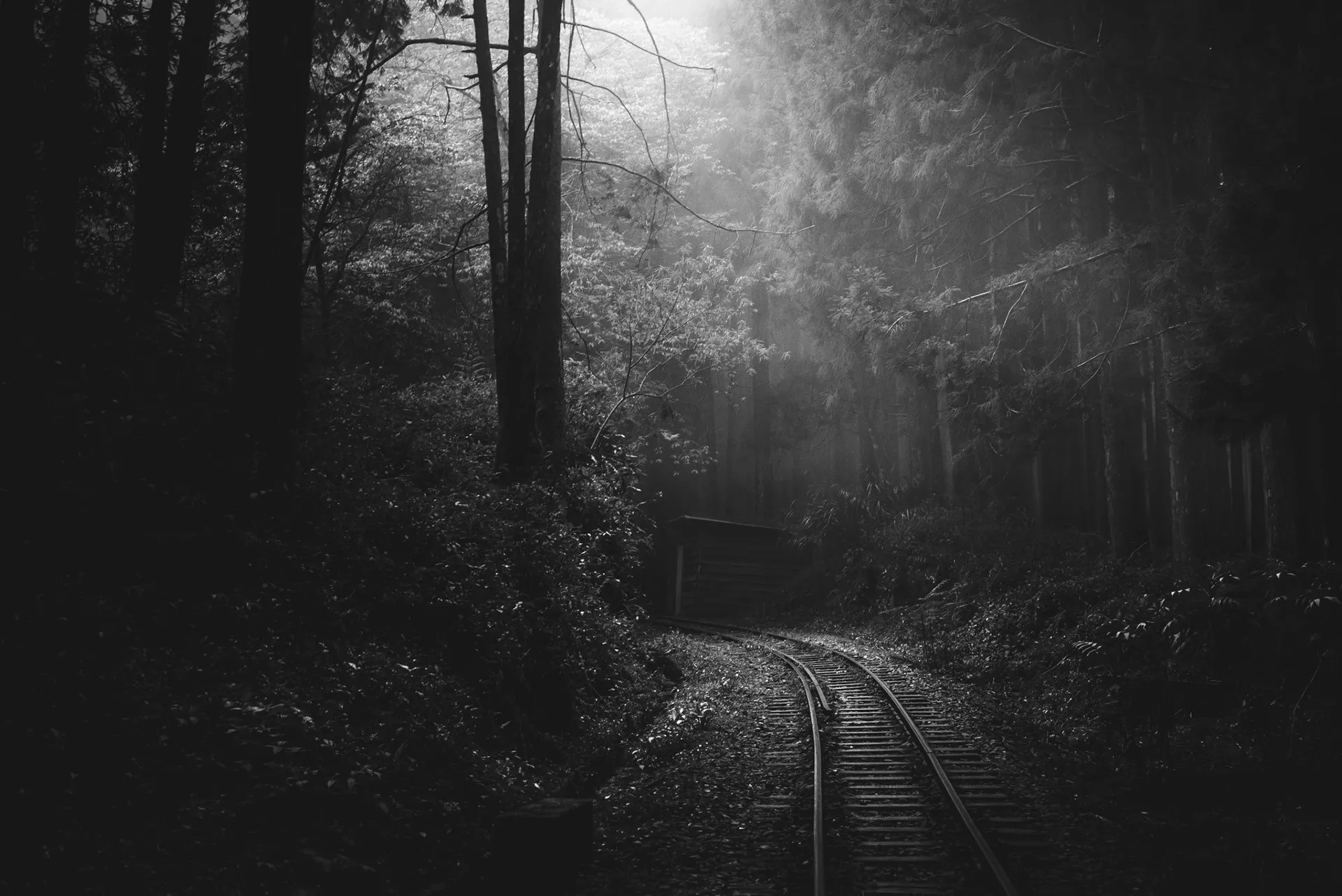 Une mystérieuse voie ferrée dans la brume de Taïwan une mysterieuse voie ferree dans la brume de Taiwan bo wen huang train foret 16 une-mysterieuse-voie-ferree-dans-la-brume-de-Taiwan-bo-wen-huang-train-foret