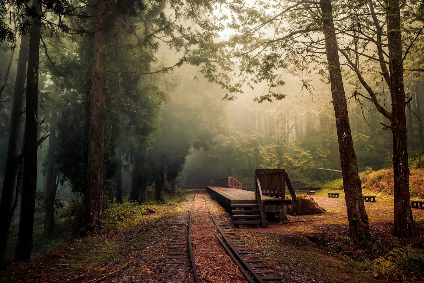Une mystérieuse voie ferrée dans la brume de Taïwan une mysterieuse voie ferree dans la brume de Taiwan bo wen huang train foret 2 une-mysterieuse-voie-ferree-dans-la-brume-de-Taiwan-bo-wen-huang-train-foret