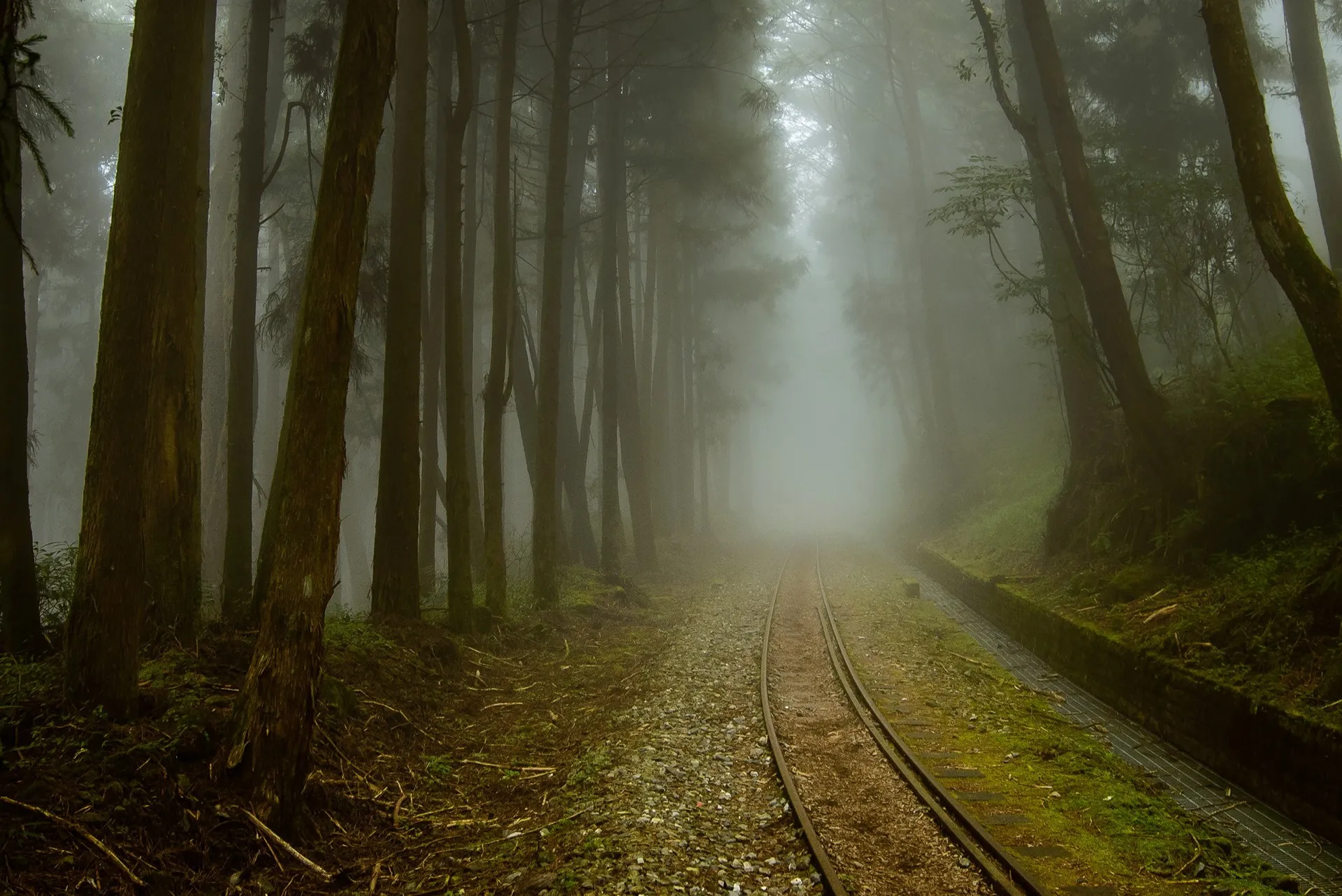 Une mystérieuse voie ferrée dans la brume de Taïwan une mysterieuse voie ferree dans la brume de Taiwan bo wen huang train foret 3 une-mysterieuse-voie-ferree-dans-la-brume-de-Taiwan-bo-wen-huang-train-foret