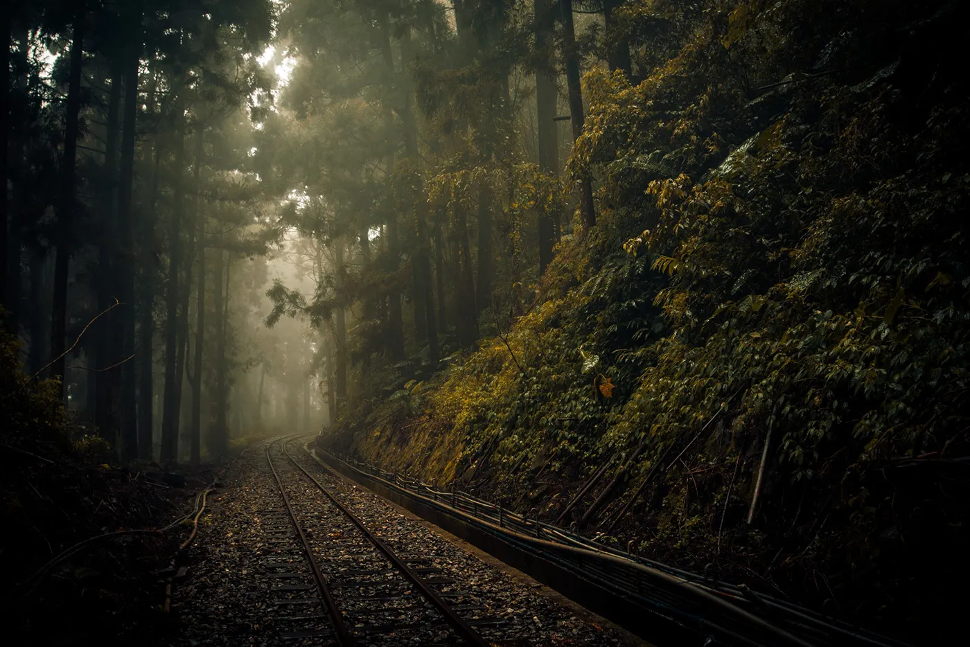 Une mystérieuse voie ferrée dans la brume de Taïwan une mysterieuse voie ferree dans la brume de Taiwan bo wen huang train foret 4 une-mysterieuse-voie-ferree-dans-la-brume-de-Taiwan-bo-wen-huang-train-foret