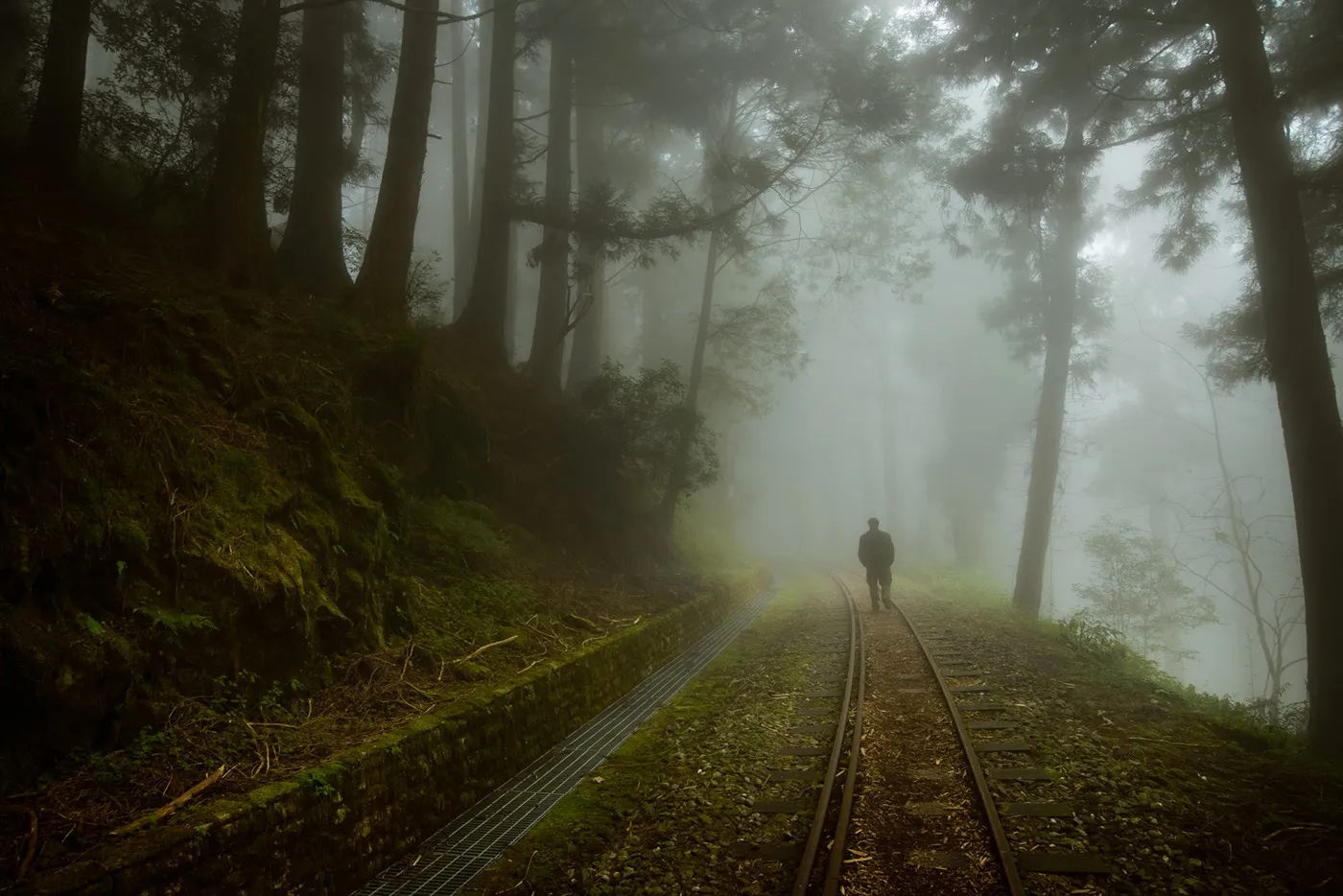 Une mystérieuse voie ferrée dans la brume de Taïwan une mysterieuse voie ferree dans la brume de Taiwan bo wen huang train foret 5 une-mysterieuse-voie-ferree-dans-la-brume-de-Taiwan-bo-wen-huang-train-foret