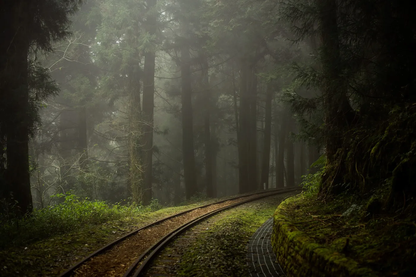 Une mystérieuse voie ferrée dans la brume de Taïwan une mysterieuse voie ferree dans la brume de Taiwan bo wen huang train foret 6 une-mysterieuse-voie-ferree-dans-la-brume-de-Taiwan-bo-wen-huang-train-foret