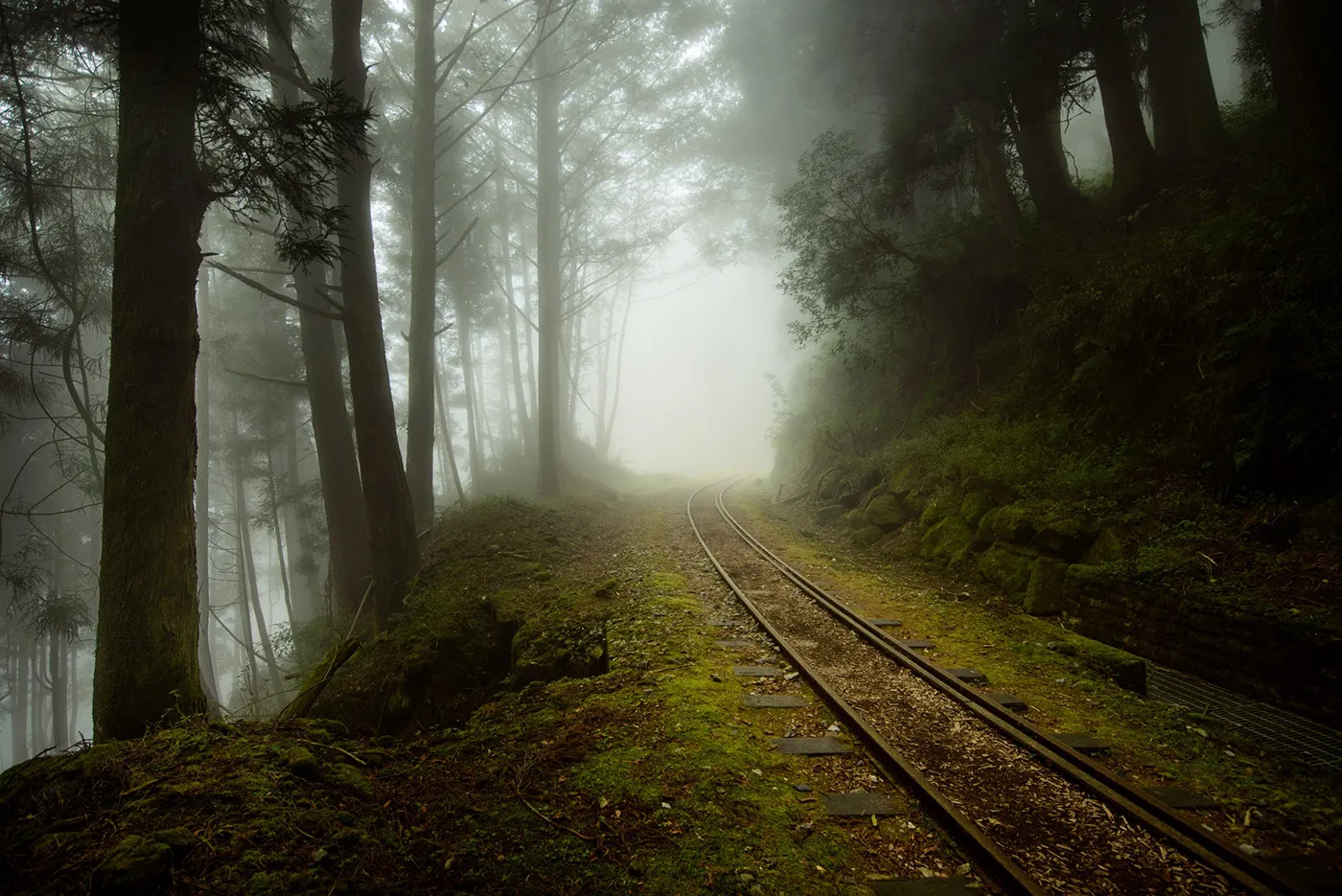 Une mystérieuse voie ferrée dans la brume de Taïwan une mysterieuse voie ferree dans la brume de Taiwan bo wen huang train foret 7 une-mysterieuse-voie-ferree-dans-la-brume-de-Taiwan-bo-wen-huang-train-foret