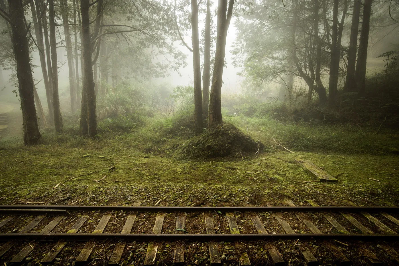 Une mystérieuse voie ferrée dans la brume de Taïwan une mysterieuse voie ferree dans la brume de Taiwan bo wen huang train foret 8 une-mysterieuse-voie-ferree-dans-la-brume-de-Taiwan-bo-wen-huang-train-foret