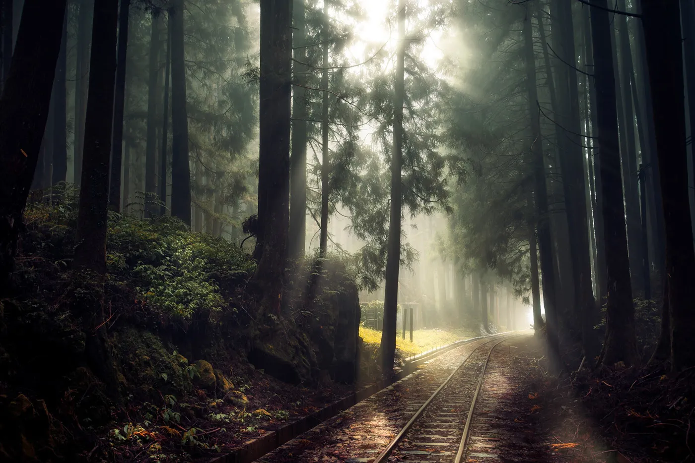 Une mystérieuse voie ferrée dans la brume de Taïwan une mysterieuse voie ferree dans la brume de Taiwan bo wen huang train foret 9 une-mysterieuse-voie-ferree-dans-la-brume-de-Taiwan-bo-wen-huang-train-foret