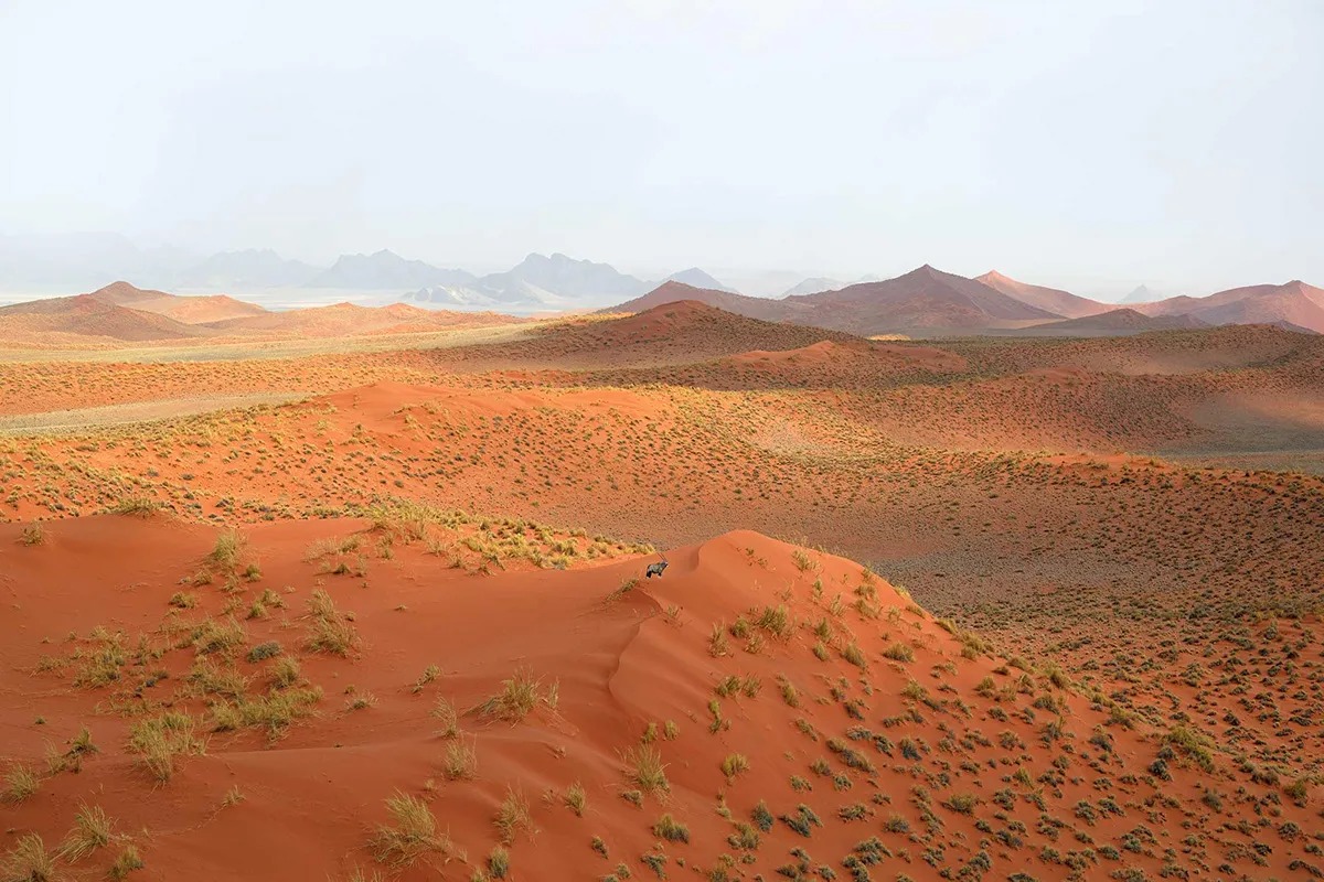 Namibia - les dunes du désert de Namibie comme des toiles abstraites Namibia les dunes du desert de Namibie comme des toiles abstraites namib 9 Namibia-les-dunes-du-desert-de-Namibie-comme-des-toiles-abstraites-namib-9