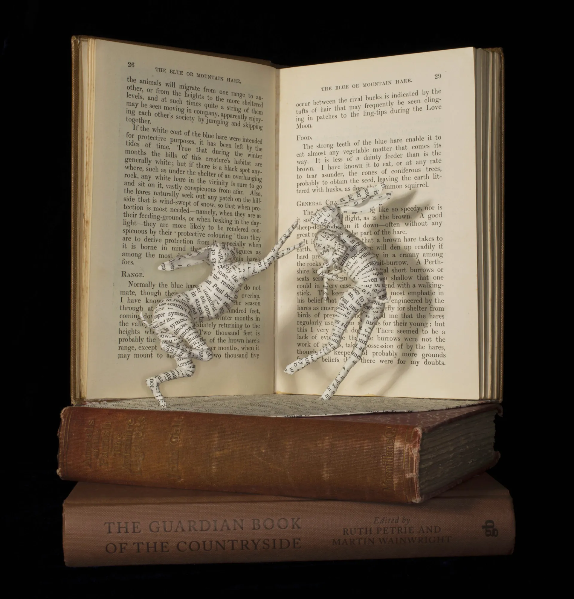 Quelques nouvelles sculptures de livres par Emma Taylor Quelques nouvelles sculptures de livres par Emma Taylor 7 Quelques-nouvelles-sculptures-de-livres-par-Emma-Taylor-7