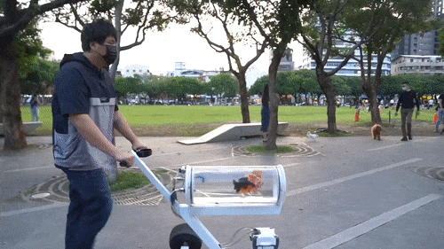 Un aquarium chariot pour promener ses poissons comme une poussette un aquarium chariot pour promener ses poissons comme une poussette 2 un-aquarium-chariot-pour-promener-ses-poissons-comme-une-poussette-2