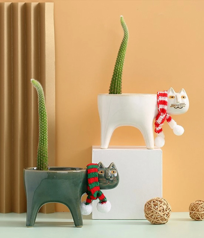 Des pots en forme de chat avec un cactus en guise de queue Des pots en forme de chat avec un cactus en guise de queue 1 Des-pots-en-forme-de-chat-avec-un-cactus-en-guise-de-queue-1