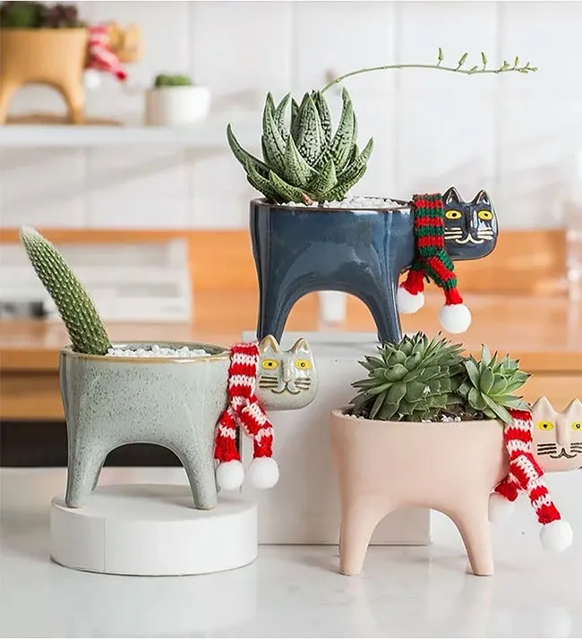 Des pots en forme de chat avec un cactus en guise de queue Des pots en forme de chat avec un cactus en guise de queue 7 Des-pots-en-forme-de-chat-avec-un-cactus-en-guise-de-queue-7