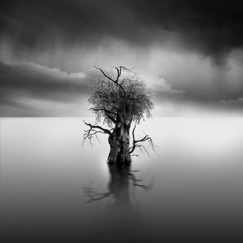 Dreamland - paysages de rêves minimalistes en noir et blanc Dreamland paysages de reves minimalistes en noir et blanc Vassilis Tangoulis 9 Dreamland-paysages-de-reves-minimalistes-en-noir-et-blanc-Vassilis-Tangoulis-9