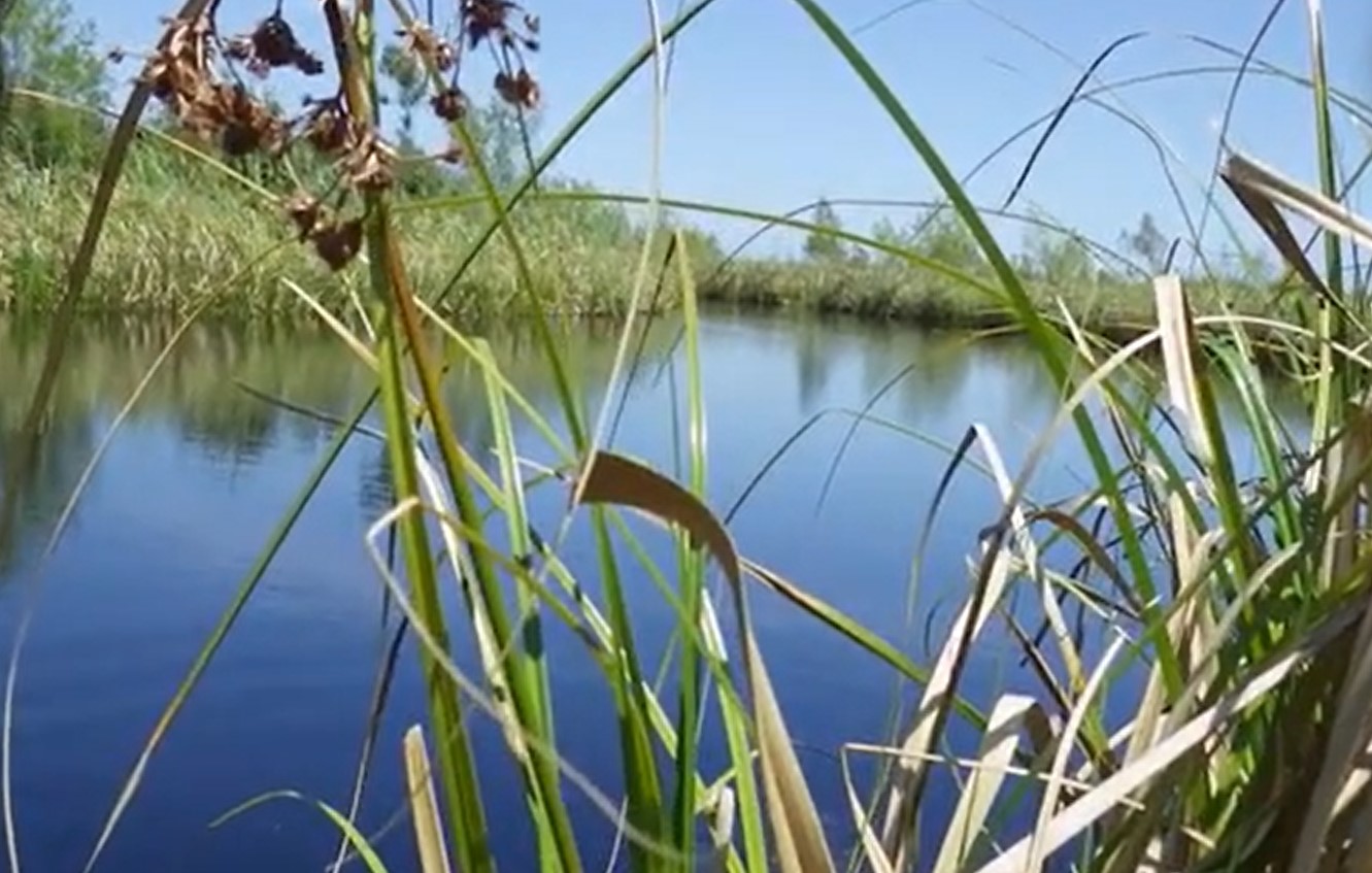 El Ojo, la mystérieuse île en forme d'œil d'Argentine El Ojo la mysterieuse ile en forme d oeil d Argentine 4 El Ojo la mysterieuse ile en forme d oeil d Argentine 4
