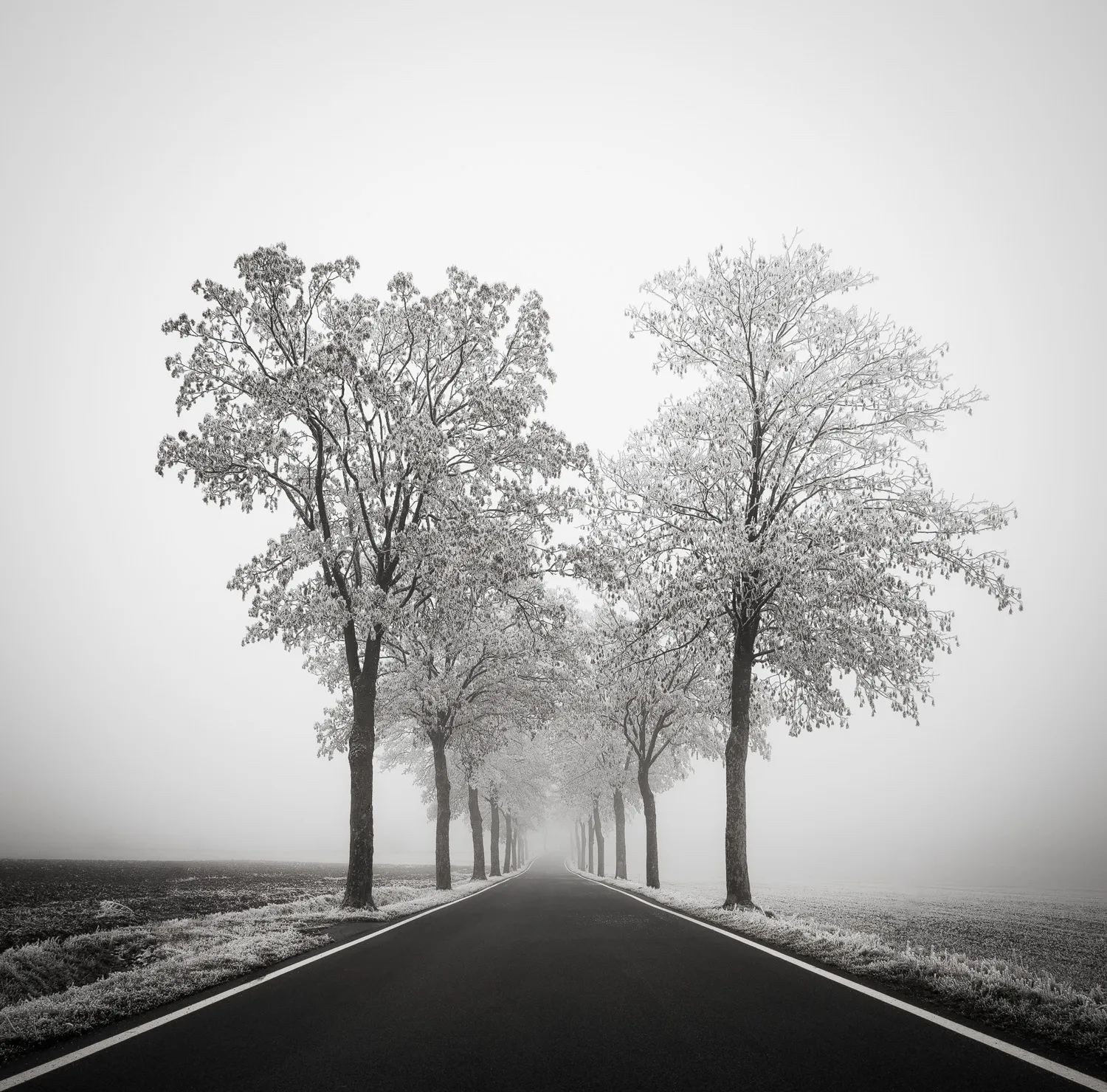 La beauté minimaliste de l'hiver par Heiko Gerlicher La beaute minimaliste de l hiver 1 La-beaute-minimaliste-de-l-hiver-1