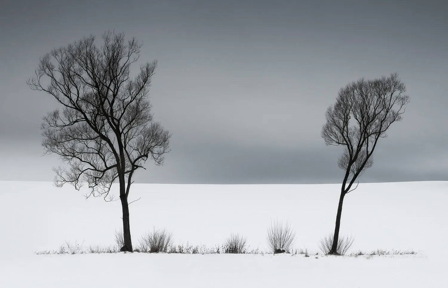 La beauté minimaliste de l'hiver par Heiko Gerlicher La beaute minimaliste de l hiver 11 La-beaute-minimaliste-de-l-hiver-11