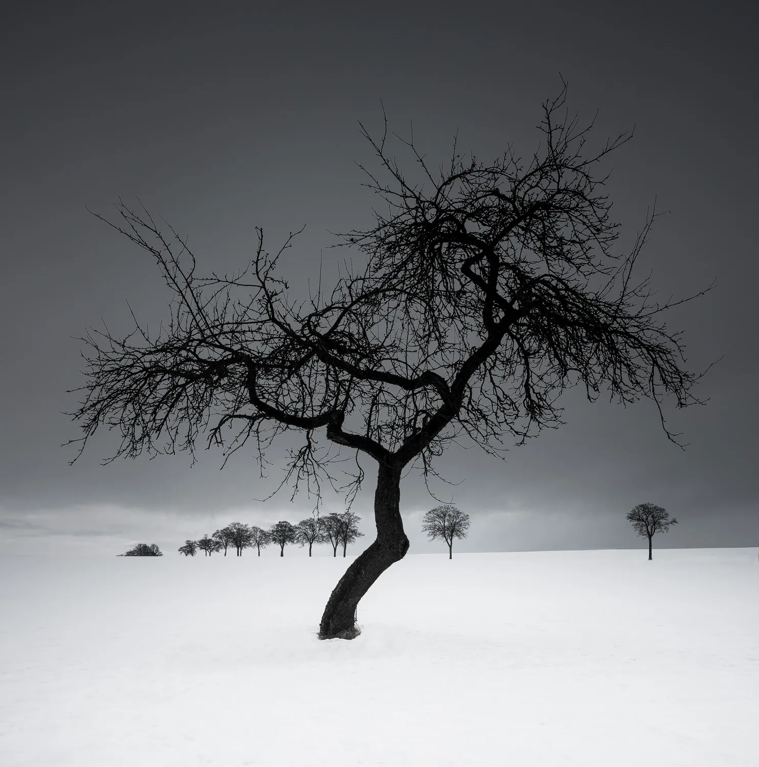 La beauté minimaliste de l'hiver par Heiko Gerlicher La beaute minimaliste de l hiver 12 La-beaute-minimaliste-de-l-hiver-12