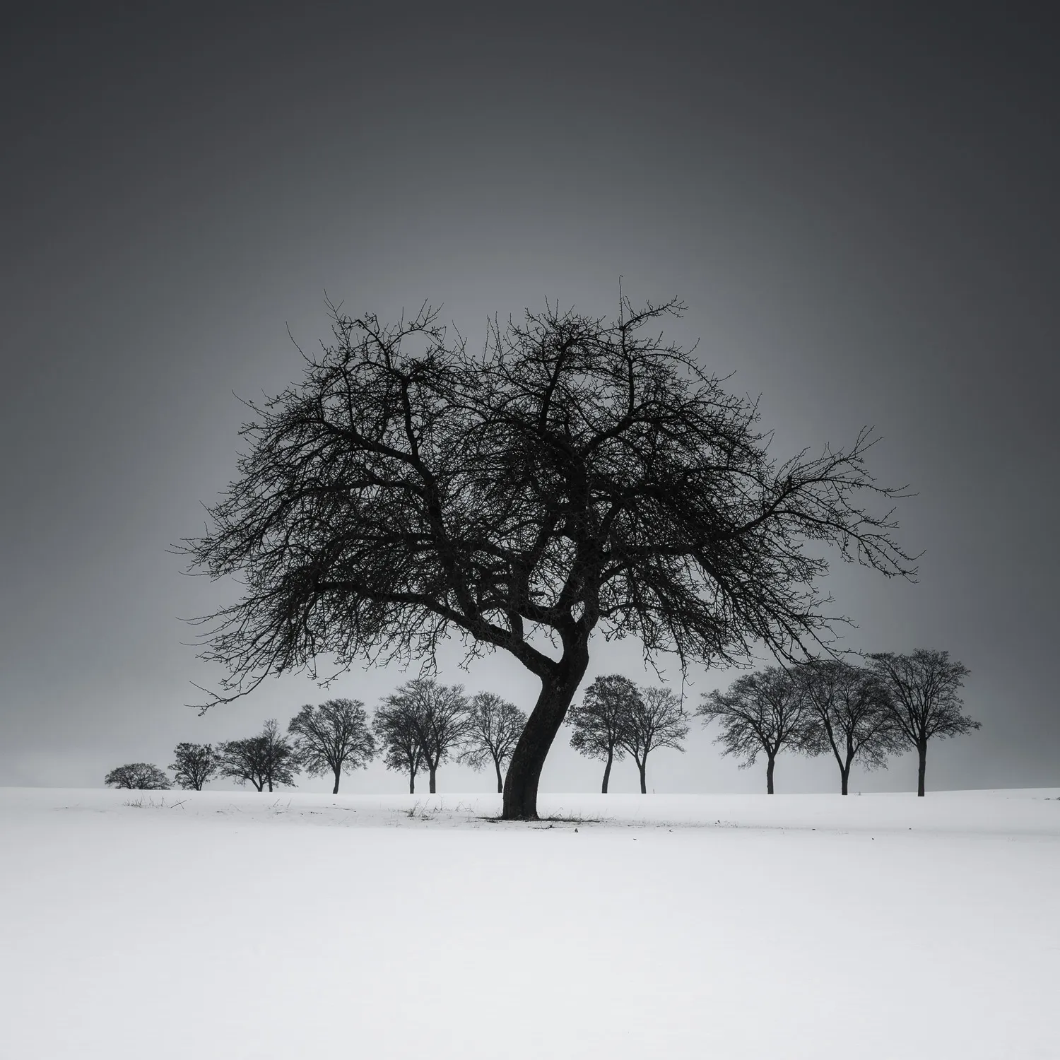 La beauté minimaliste de l'hiver par Heiko Gerlicher La beaute minimaliste de l hiver 14 La-beaute-minimaliste-de-l-hiver-14