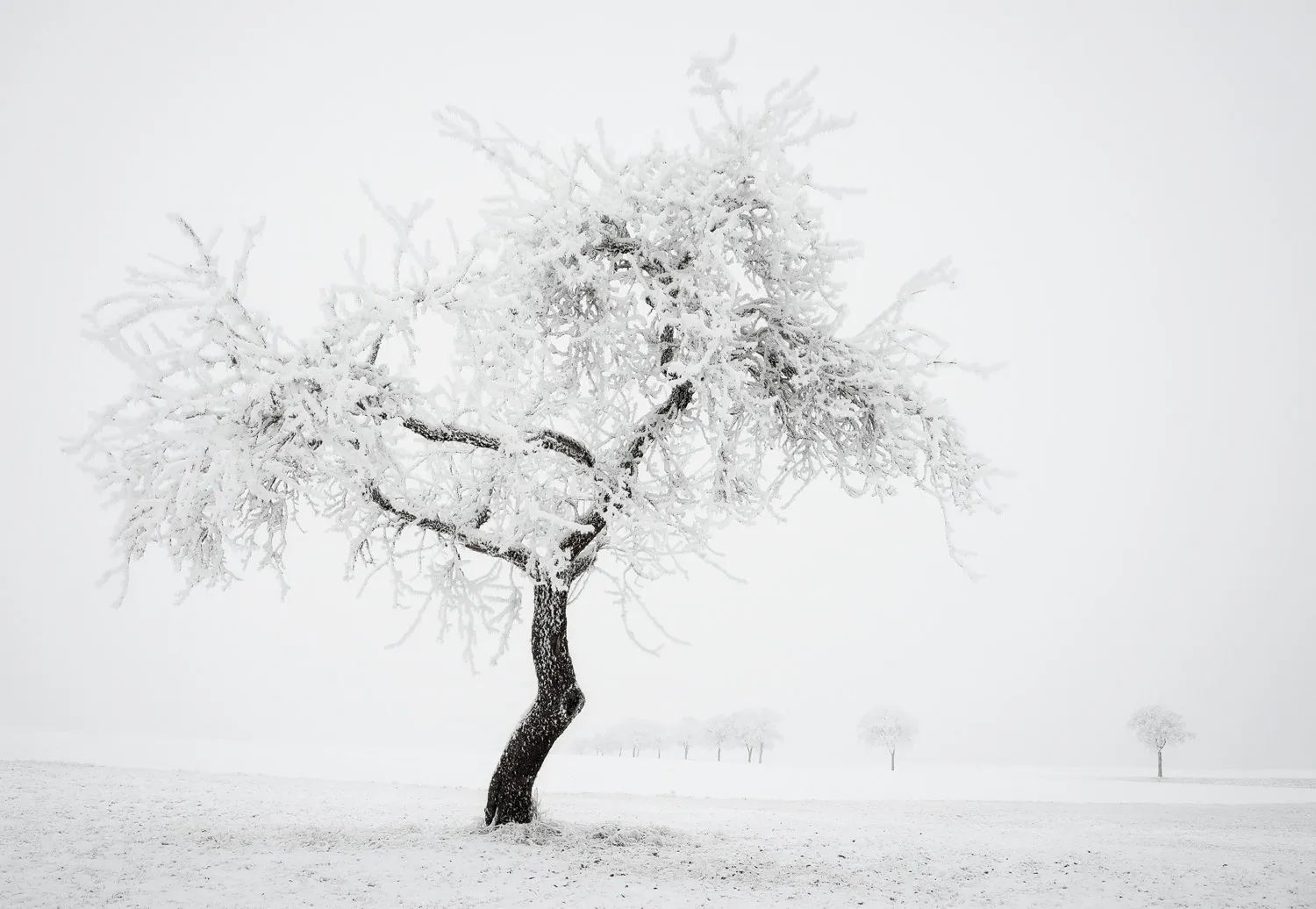 La beauté minimaliste de l'hiver par Heiko Gerlicher La beaute minimaliste de l hiver 3 La-beaute-minimaliste-de-l-hiver-3
