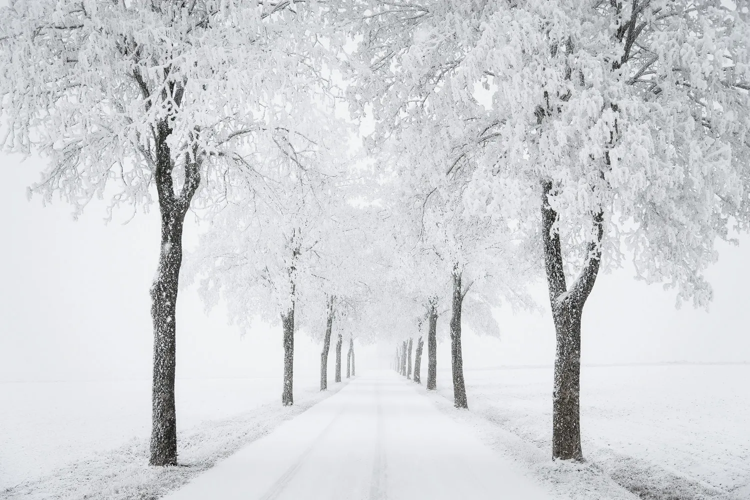 La beauté minimaliste de l'hiver par Heiko Gerlicher La beaute minimaliste de l hiver 8 La-beaute-minimaliste-de-l-hiver-8