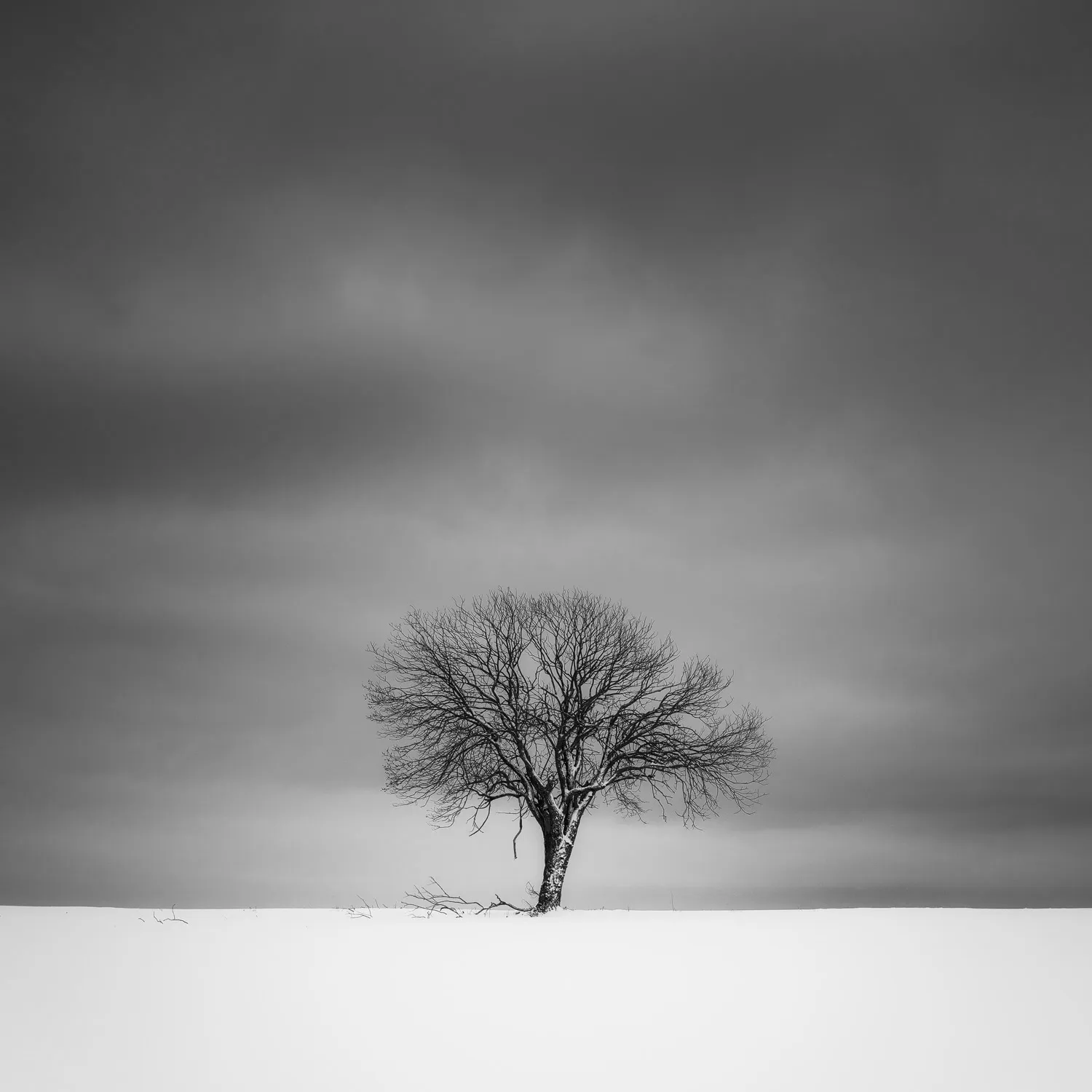 La beauté minimaliste de l'hiver par Heiko Gerlicher La beaute minimaliste de l hiver 9 La-beaute-minimaliste-de-l-hiver-9