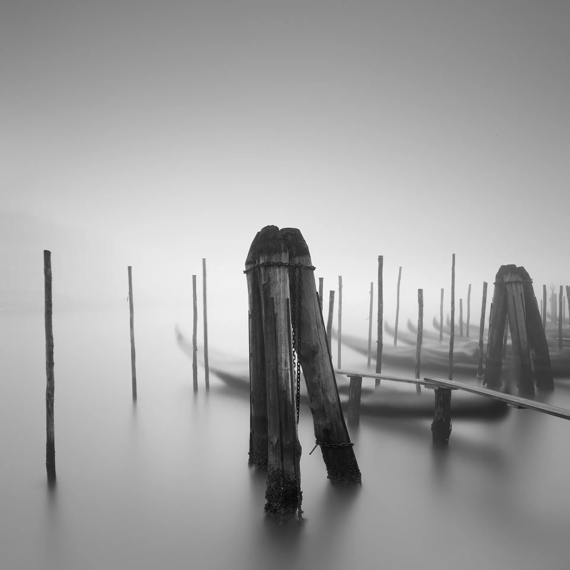 La magie brumeuse de Venise en hiver La magie brumeuse de Venise en hiver 2 La-magie-brumeuse-de-Venise-en-hiver-2