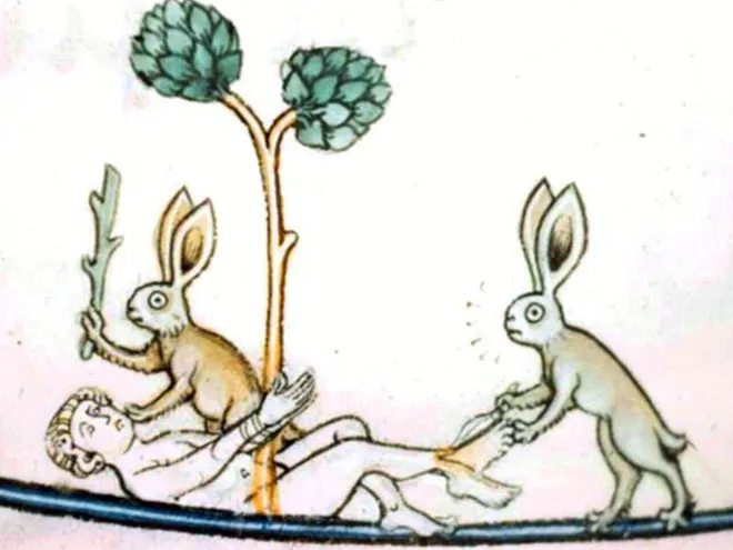 Les lapins tueurs des manuscrits médiévaux Les lapins tueurs des manuscrits medievaux mechant lapin 2 Les-lapins-tueurs-des-manuscrits-medievaux-mechant-lapin-2