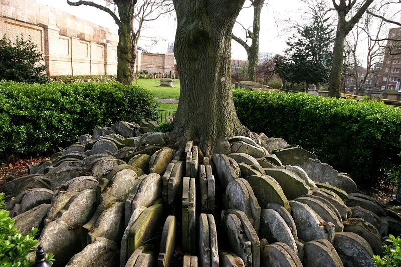 The Hardy Tree, l'arbre de Hardy, un arbre entouré de pierres tombales The Hardy Tree l arbre de Hardy un arbre entoure de pierres tombales 2 The-Hardy-Tree-l-arbre-de-Hardy-un-arbre-entoure-de-pierres-tombales-2