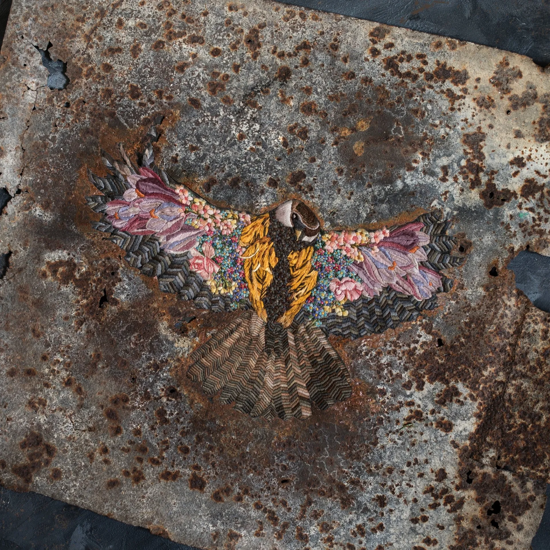 Des broderies dans des troncs et autres par Diana Yevtukh des broderies dans des troncs et autres par Diana Yevtukh 5 des-broderies-dans-des-troncs-et-autres-par-Diana-Yevtukh-5