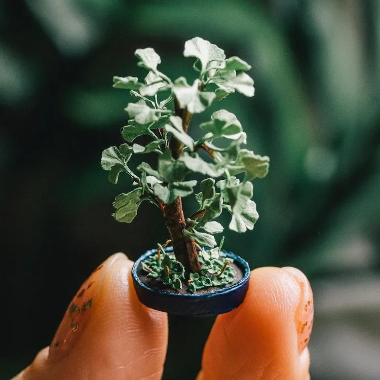 Des sculptures de mini plantes pour un jardin d'intérieur sans entretien des sculptures de mini plantes pour un jardin d interieur sans entretien 1 raya sader bujana 6 des-sculptures-de-mini-plantes-pour-un-jardin-d-interieur-sans-entretien-1-raya-sader-bujana-6