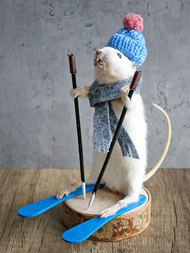 D'excentriques taxidermies de souris les excentriques taxidermies de souris fait du ski 2 les-excentriques-taxidermies-de-souris-fait-du-ski-2